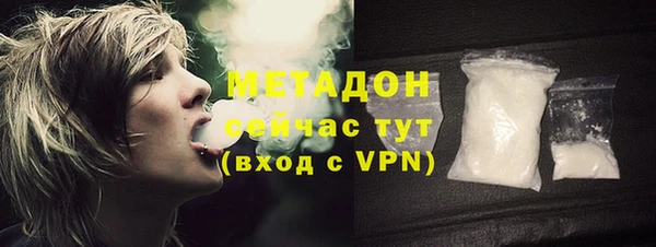 индика Абаза