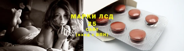 индика Абаза