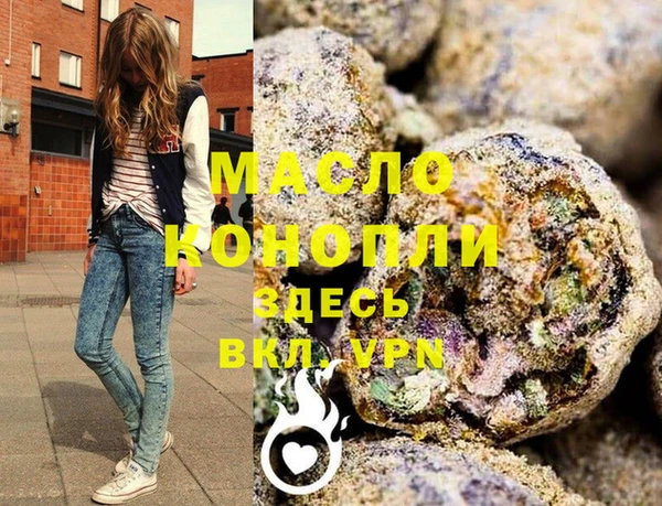 индика Абаза