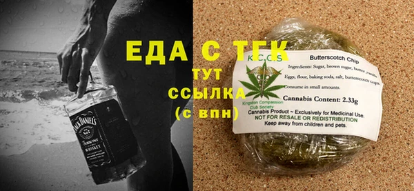 индика Абаза