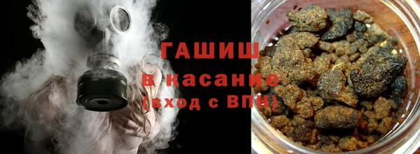 индика Абаза