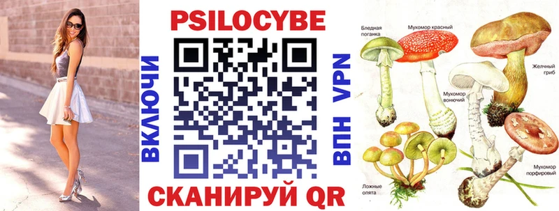 MEGA ТОР  Мосальск  Галлюциногенные грибы Cubensis 